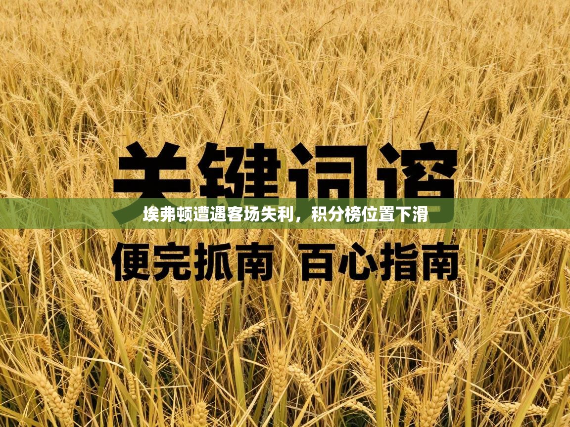 -埃弗顿遭遇客场失利,积分榜位置下滑 第1张